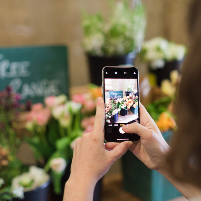 new product launch bundle