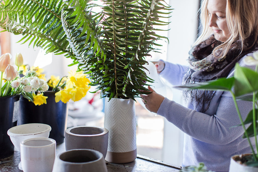 Flower Care in Warmer Weather