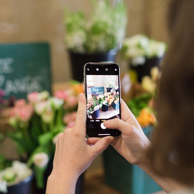 woman taking a picture of flowers on mobile phone