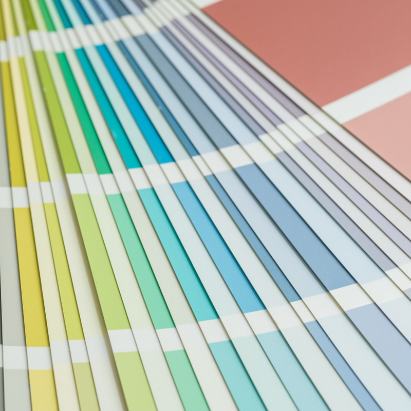 Signature Brand Launch Essentials Kit